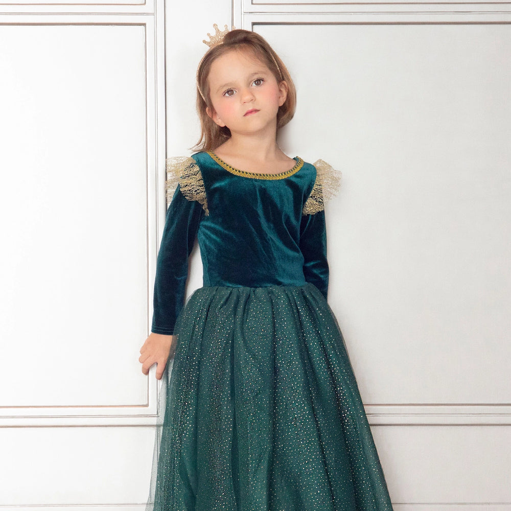 Brave Princess Costume Dress