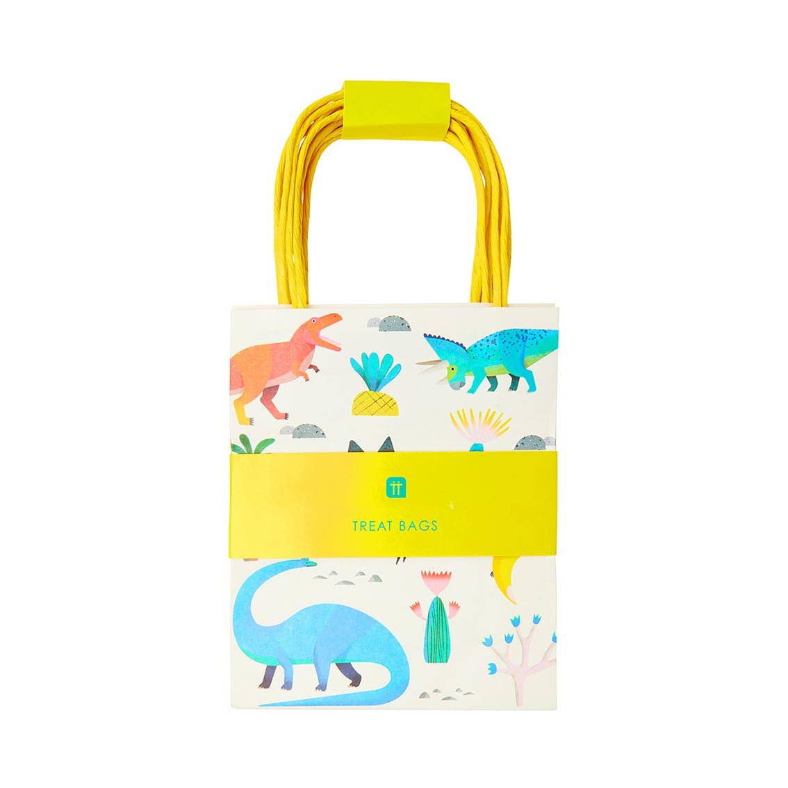 Dinosaur Party Goodie Bags - 8 Pack
