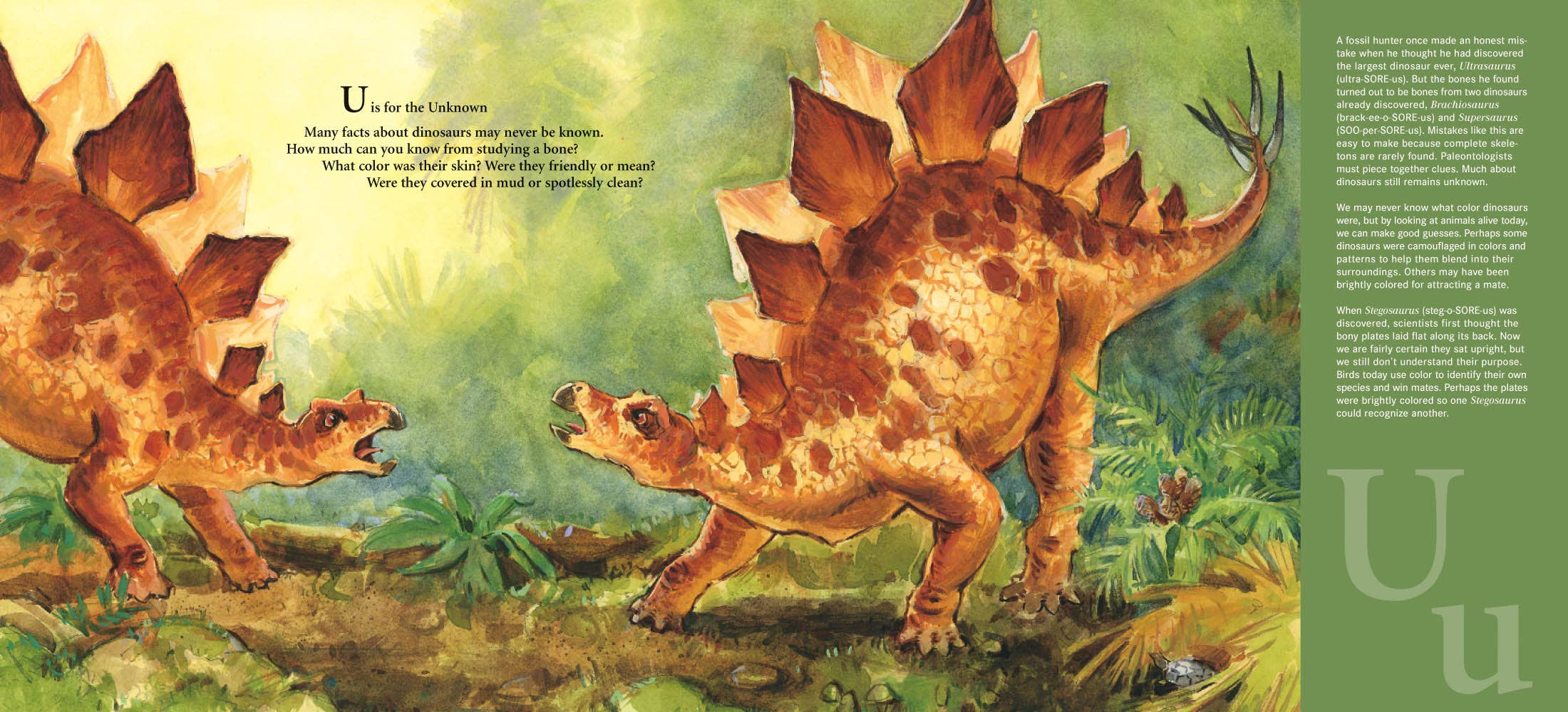 D is for Dinosaur: A Prehistoric Alphabet Book